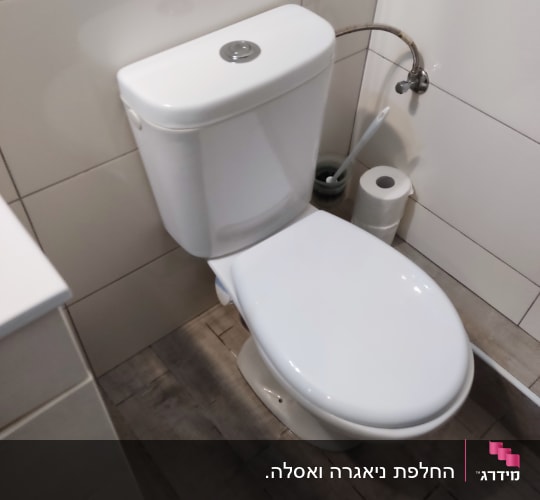 אסלה עם מברשת ניקוי ונייר טואלט